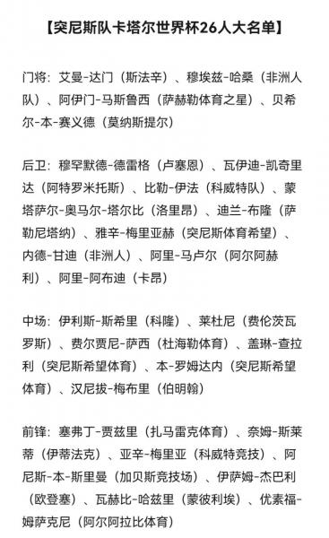 世界杯实力排名丹麦突尼斯，世界杯最强