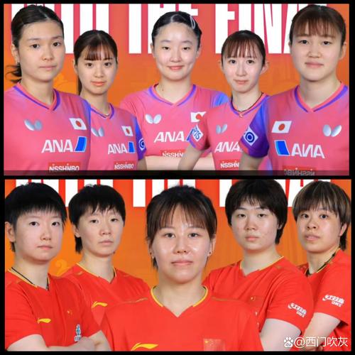 乒乓球女团决赛名单,乒乓女团决赛人员