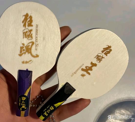 麦迪文乒乓球拍怎么样?麦迪文球拍六星?