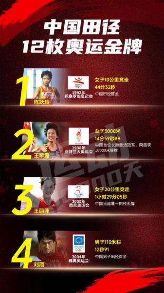 2008年北京奥运会中国代表团获得多少金牌的简单介绍