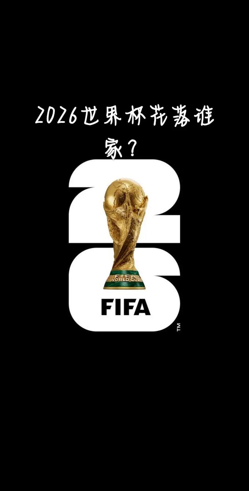 看世界杯是什么意思，看世界杯闲话？