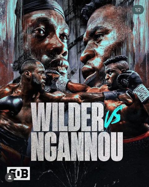 拳王维尔德的最新比赛？重量级拳王维尔德战绩？